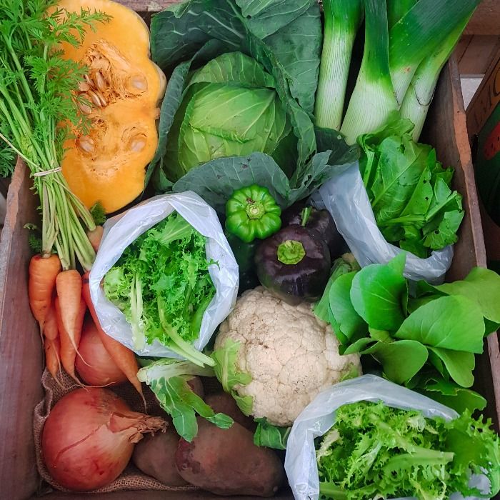 Discovering the future of food at Wairarapa Eco Farm